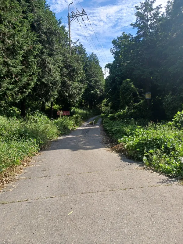 p05_imp_1789133176796.jpg