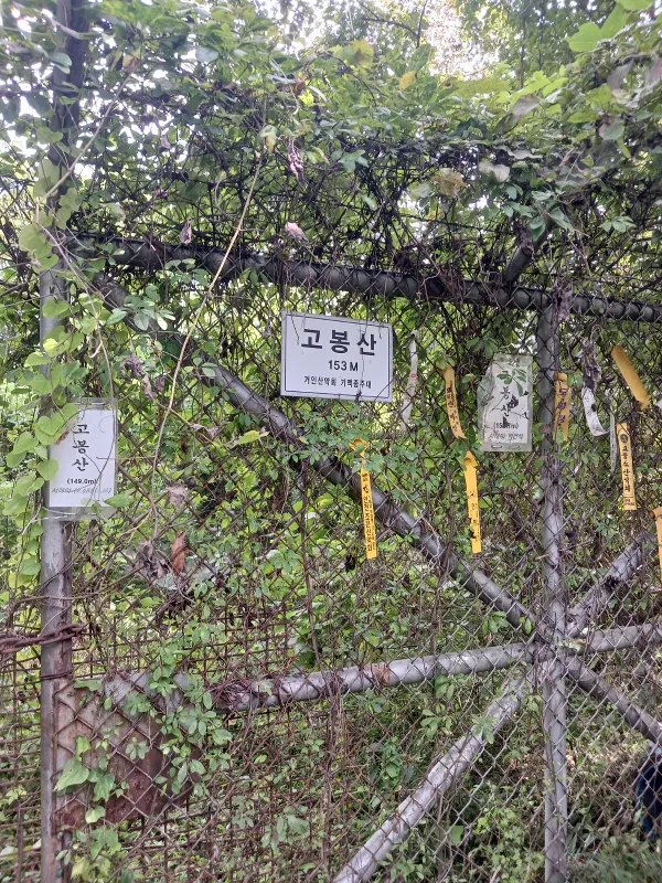 p00c_imp_1789133175151.jpg
