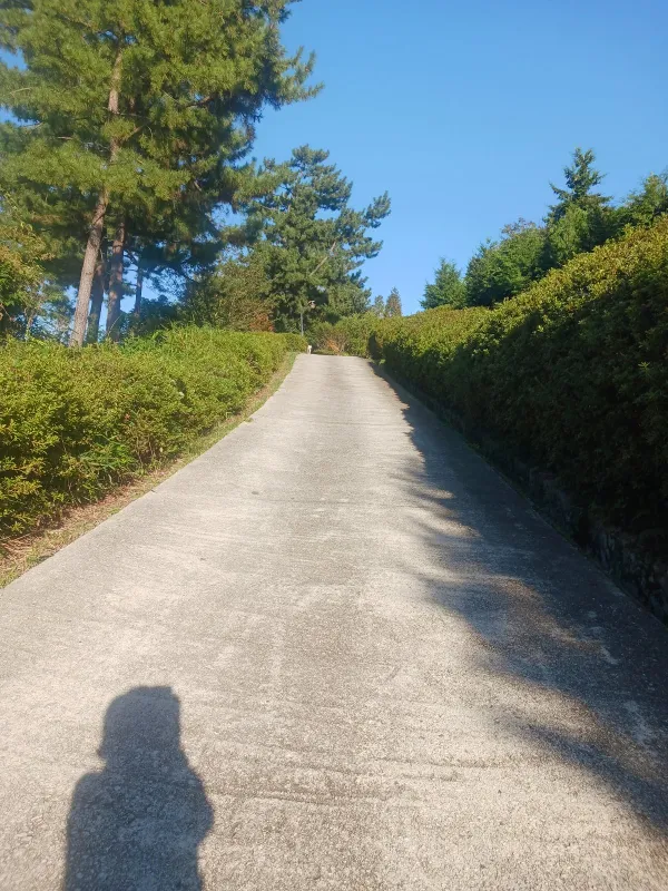 ph_1790926003982.jpg