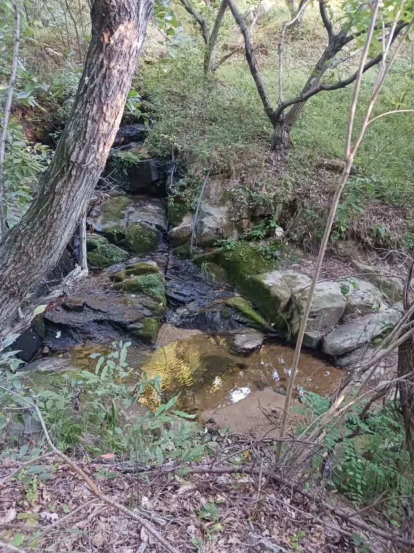 ph_1790842141803.jpg
