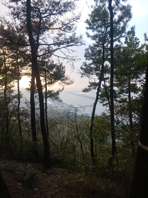 ph_1793345208142.jpg