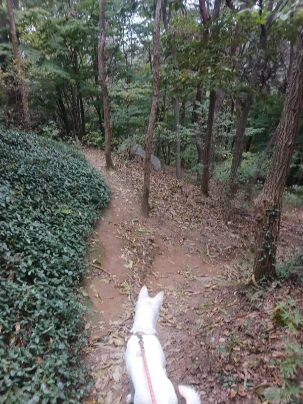 ph_1793256086099.jpg
