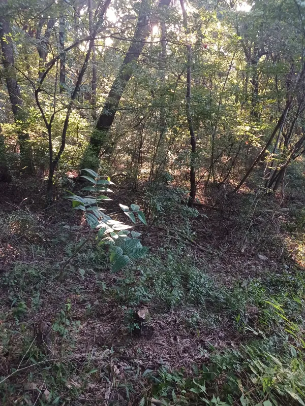 ph_1790843072599.jpg
