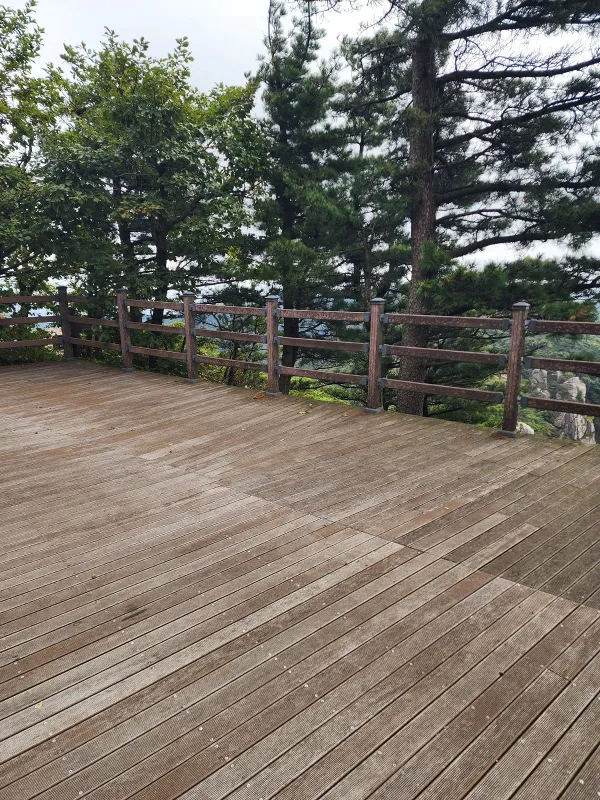 ph_1789778562019.jpg