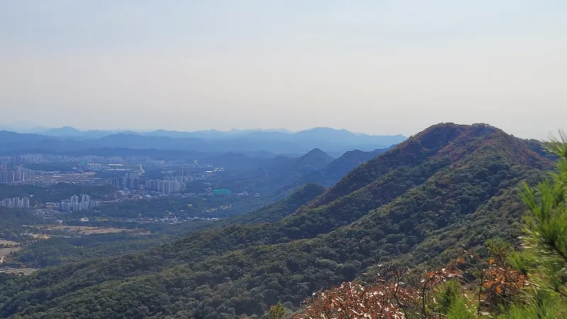 20261015_124841.jpg