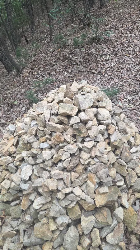 30468.jpg