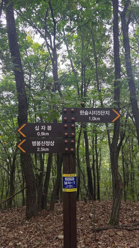 p06_imp_1790310166752.jpg