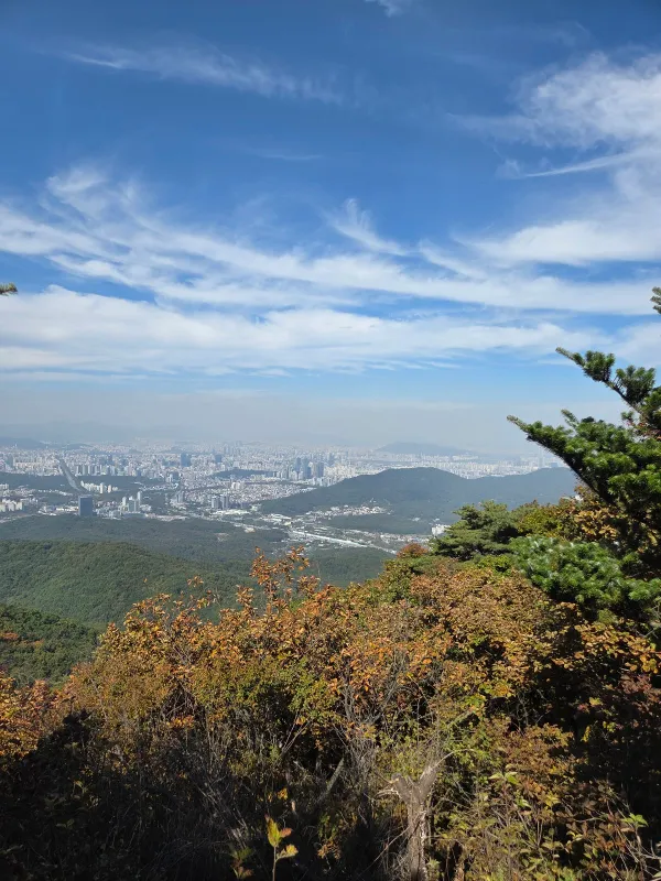 p00_imp_1791526082735.jpg