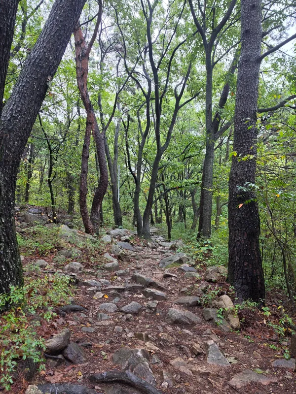 p01_imp_1792901230862.jpg
