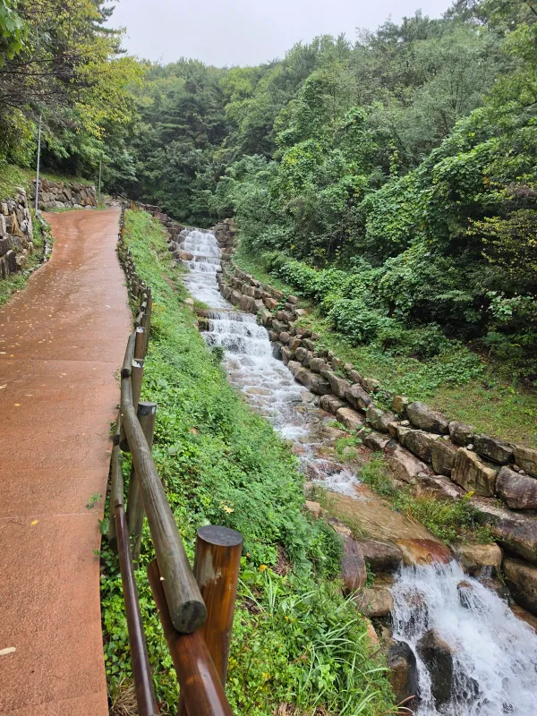 p00c_imp_1792901230627.jpg