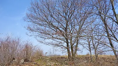 강천산 (전북 순창) : 2016-04-09