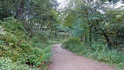유명산-용문산:2016-09-17