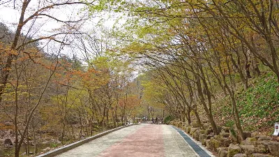 강천산 왕자봉코스 사용자 사진 4