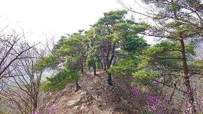 강천산 (전북 순창) : 2016-04-09