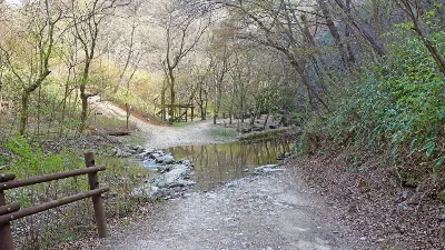 강천산 (전북 순창) : 2016-04-09