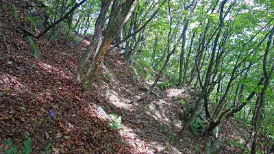 유명산-용문산:2016-09-17