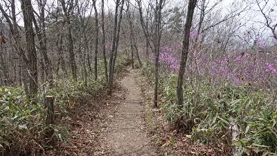 강천산 (전북 순창) : 2016-04-09