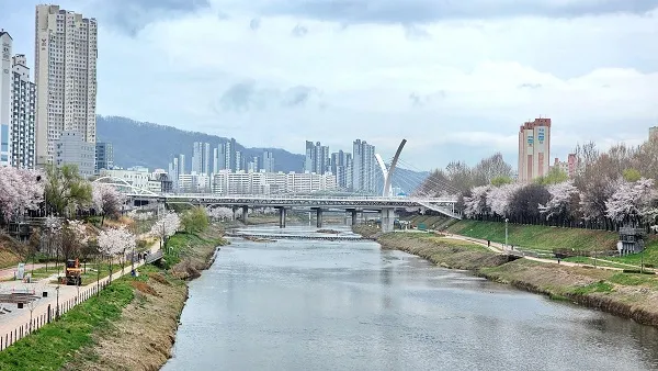 13코스 안양천 상류