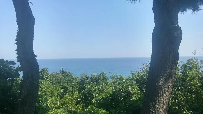 50코스