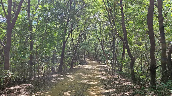 7코스 일자산