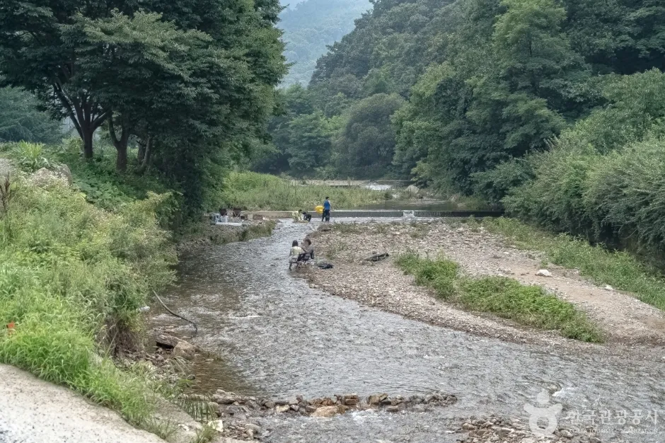용인 묵리 임도 코스