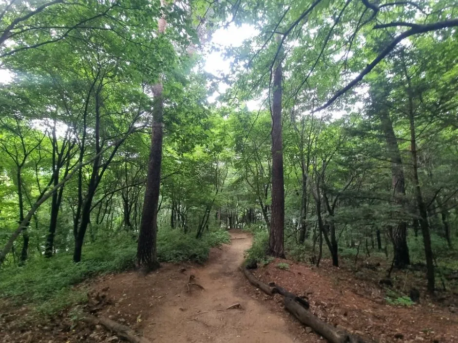 고양 앵봉·노고산 싱글 코스