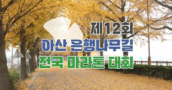 제12회 아산 은행나무길 전국 마라톤 대회