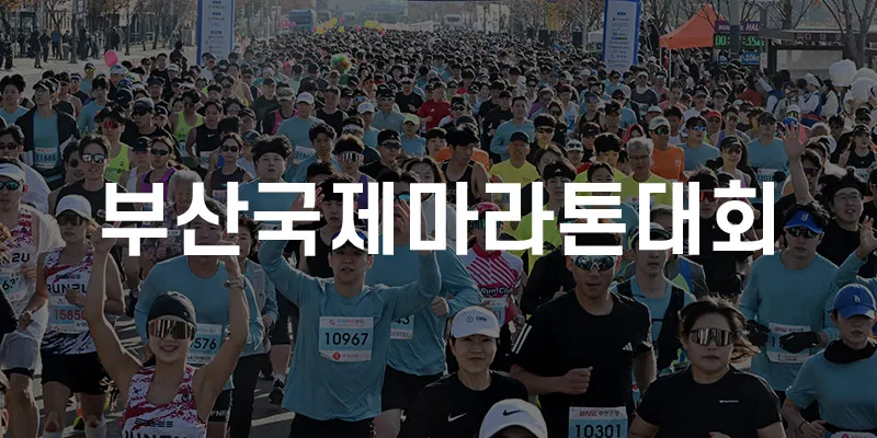 제28회 부산국제마라톤대회